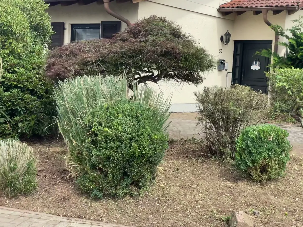 Hecken und Gehölzschnitt